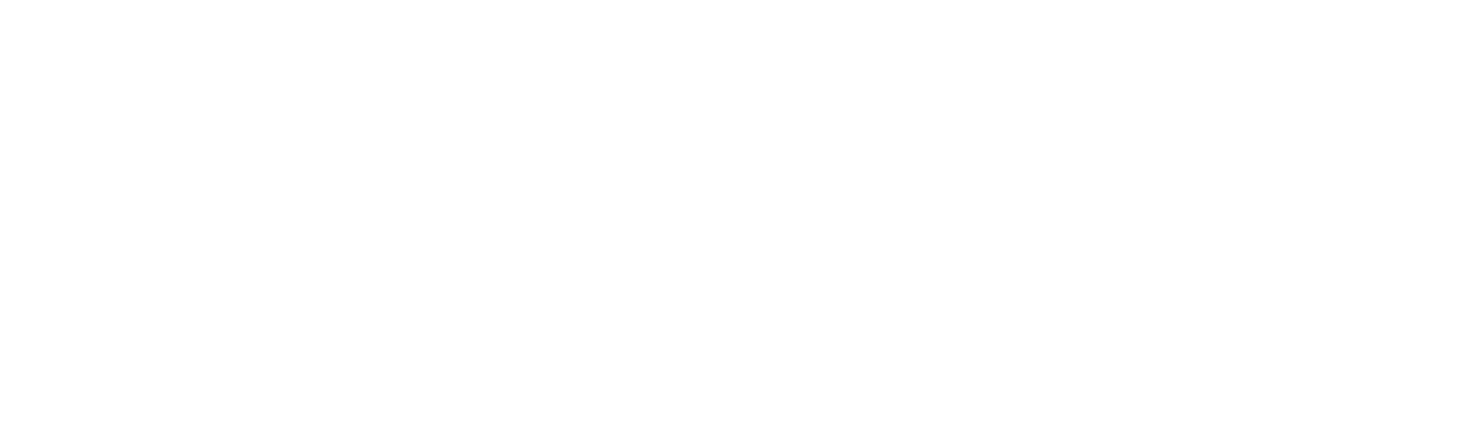 QSS